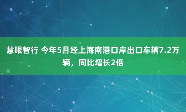 慧眼智行 今年5月经上海南港口岸出口车辆7.2万辆，同比增长2倍