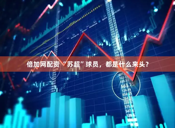 倍加网配资 “苏超”球员，都是什么来头？