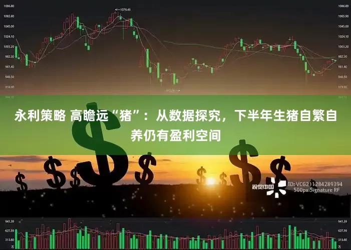 永利策略 高瞻远“猪”：从数据探究，下半年生猪自繁自养仍有盈利空间