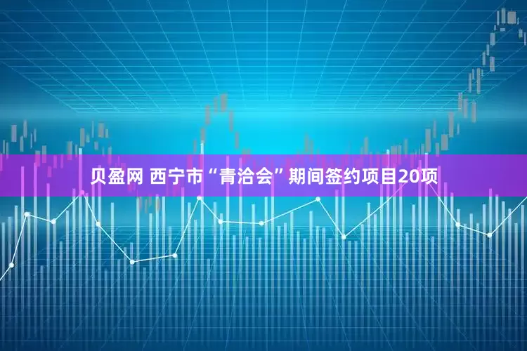 贝盈网 西宁市“青洽会”期间签约项目20项