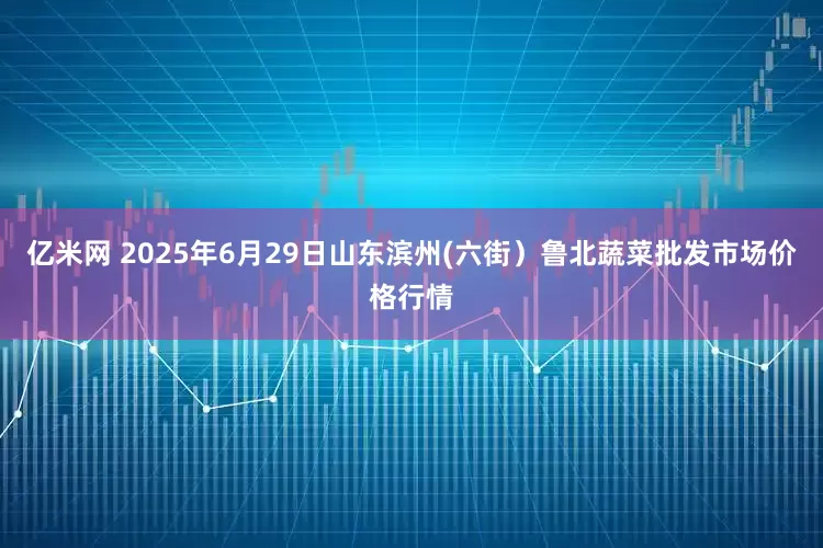 亿米网 2025年6月29日山东滨州(六街）鲁北蔬菜批发市场价格行情