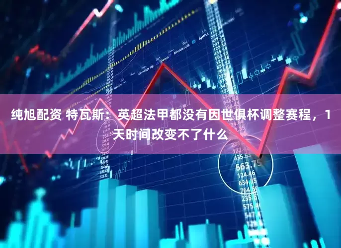 纯旭配资 特瓦斯：英超法甲都没有因世俱杯调整赛程，1天时间改变不了什么