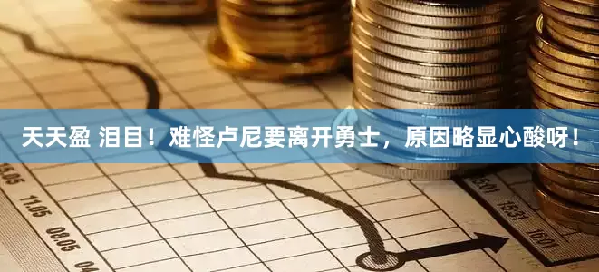 天天盈 泪目！难怪卢尼要离开勇士，原因略显心酸呀！