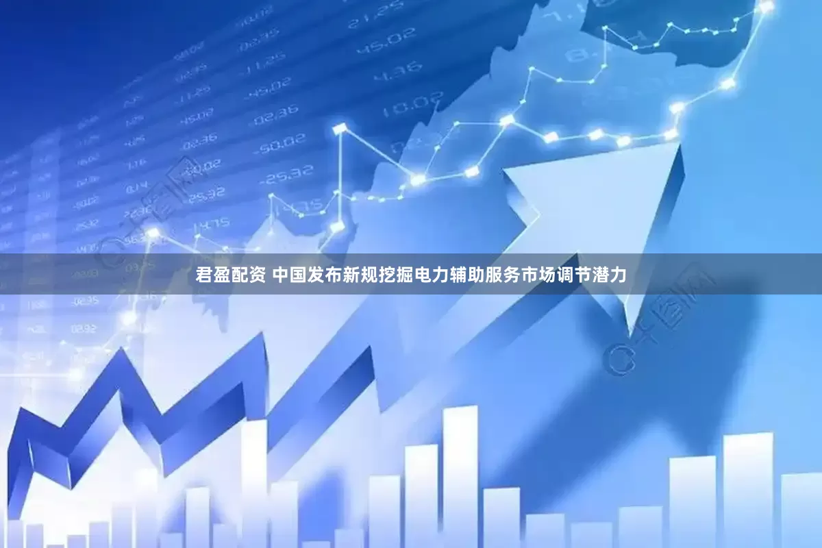 君盈配资 中国发布新规挖掘电力辅助服务市场调节潜力
