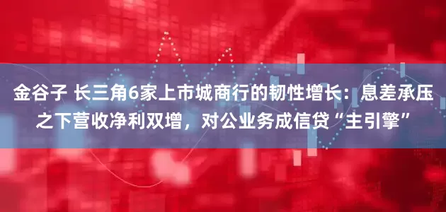 金谷子 长三角6家上市城商行的韧性增长:息差承压之下营收净利双增,对公业务成信贷“主引擎”