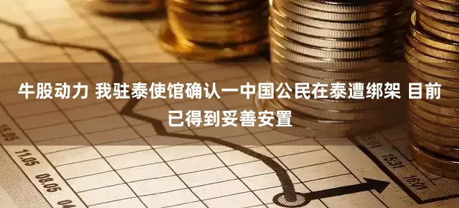 牛股动力 我驻泰使馆确认一中国公民在泰遭绑架 目前已得到妥善安置