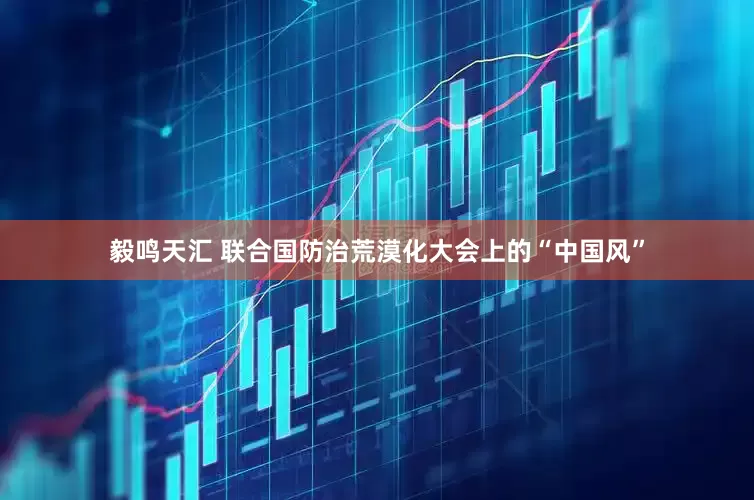 毅鸣天汇 联合国防治荒漠化大会上的“中国风”